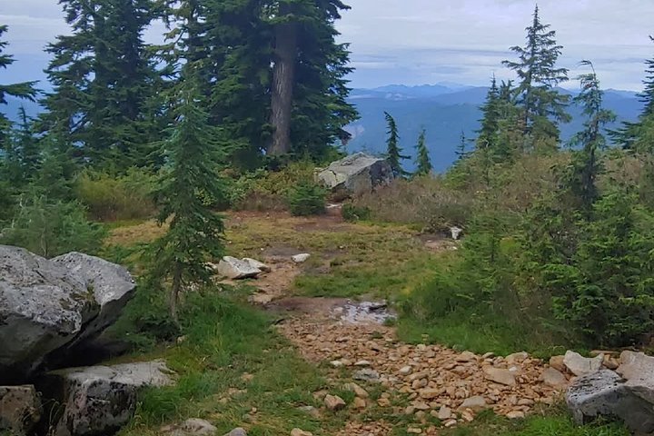 Nature Tour/Hike - Photo 1 of 6